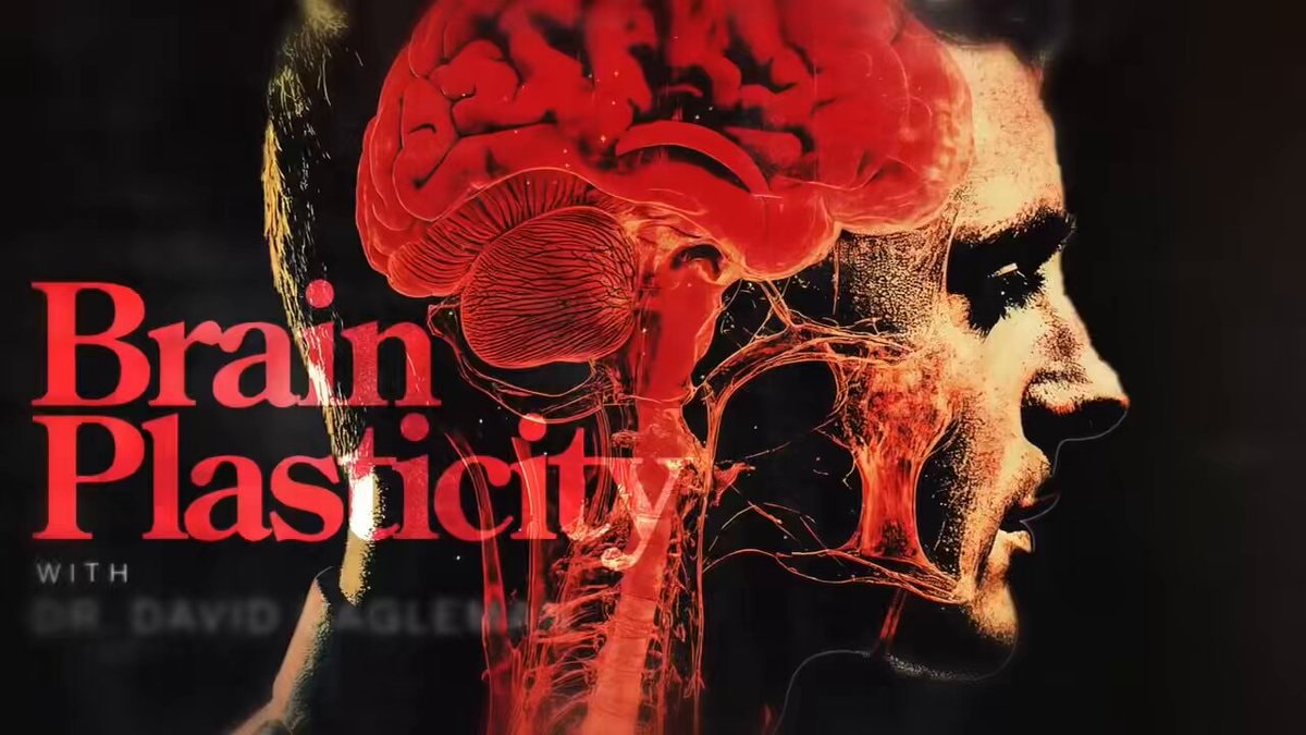Dr David Eagleman Brain Plasticity
