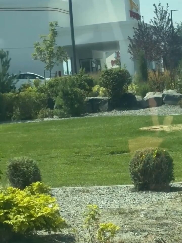 hero confronts active shooter in twin falls idaho
