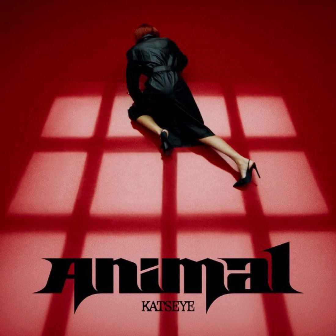 KATSEYE Animal global Spotify debut