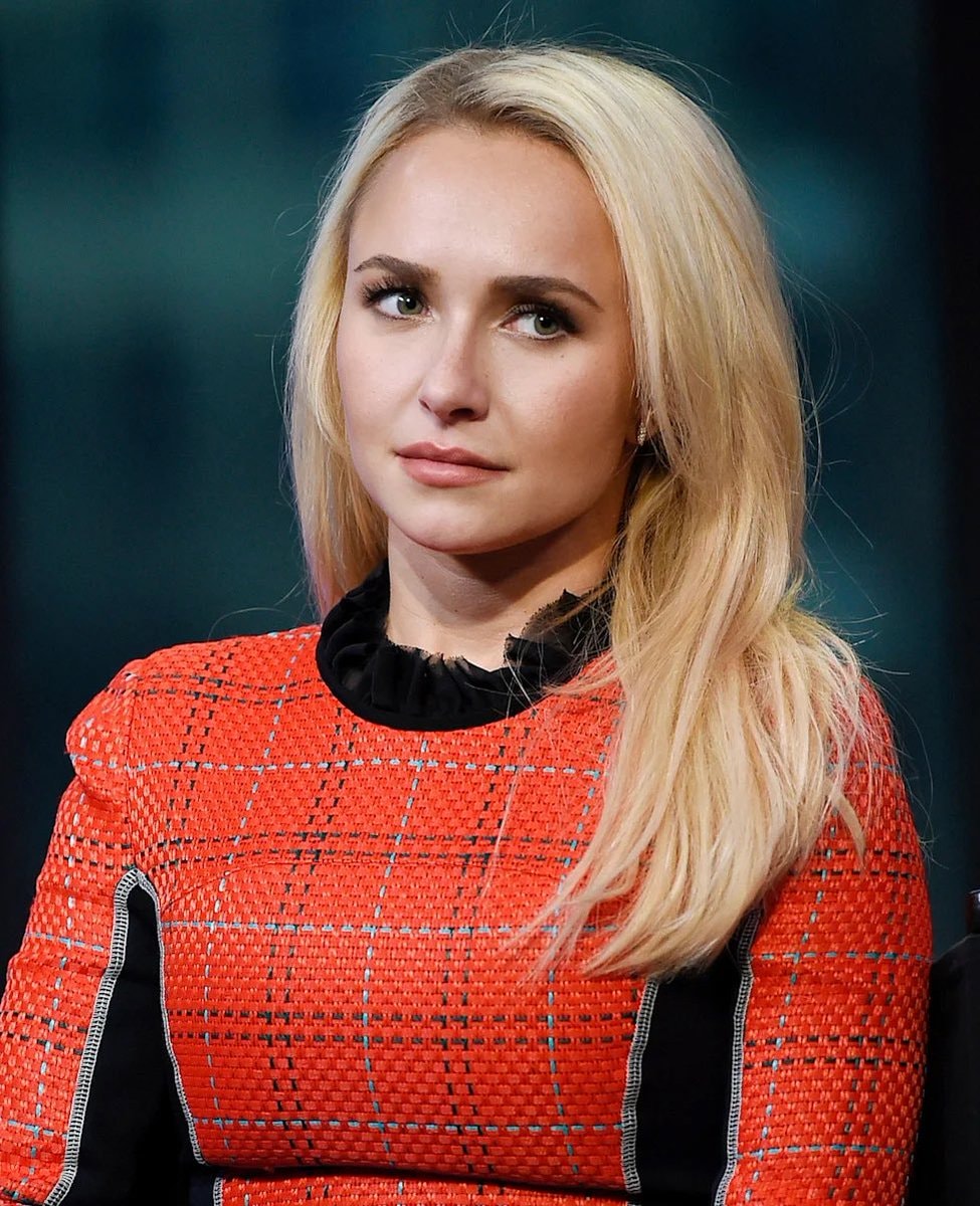 Hayden Panettiere investigation