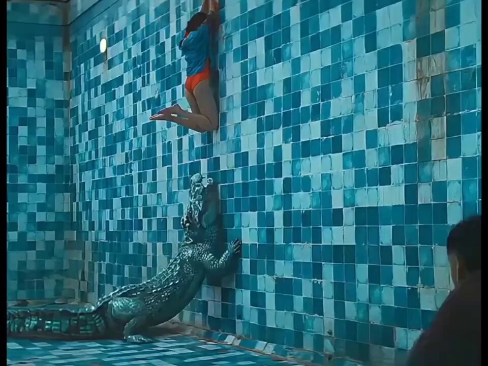 woman clinging to wall above alligator
