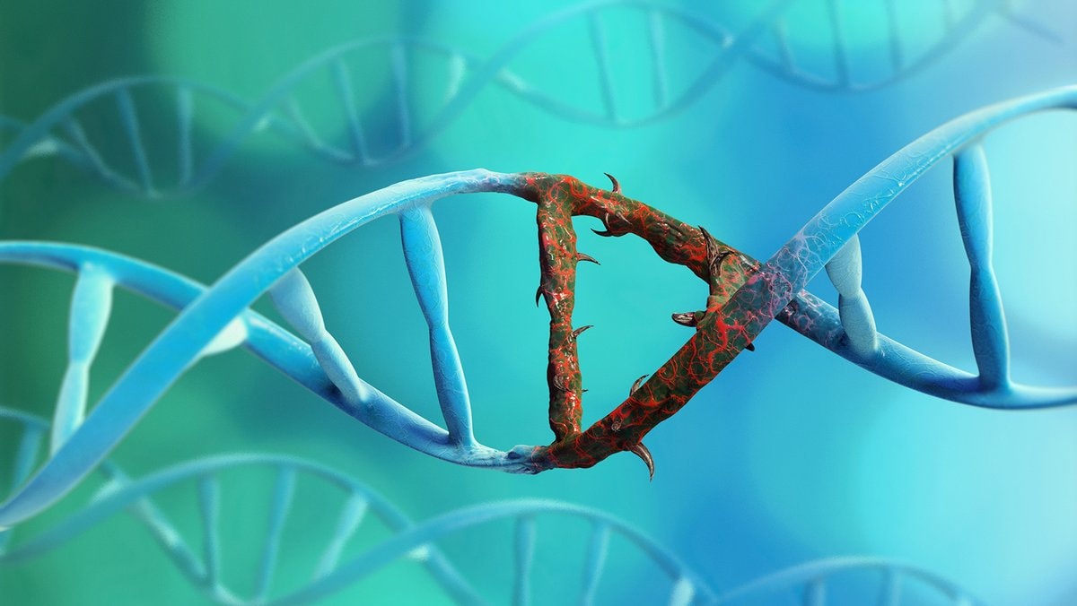 Bowhead whale DNA repair protein lifespan (photo 2 of 2)