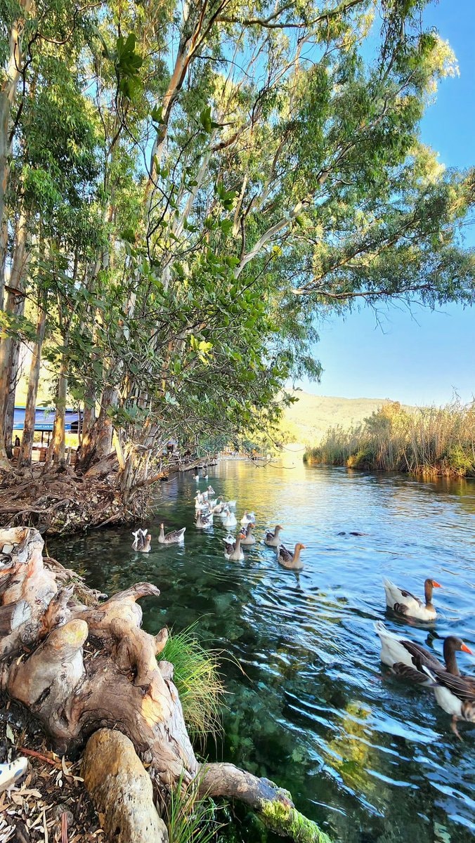 Akyaka Muğla Turkey (photo 3 of 4)