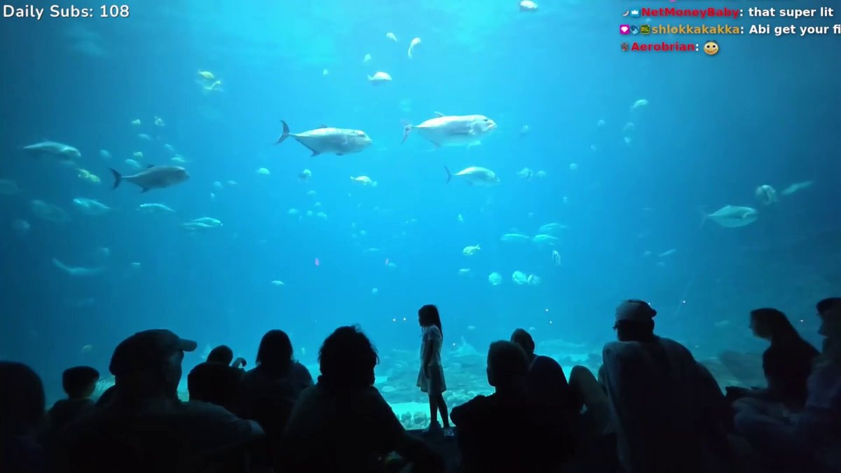 Rawdogmoon aquarium visit