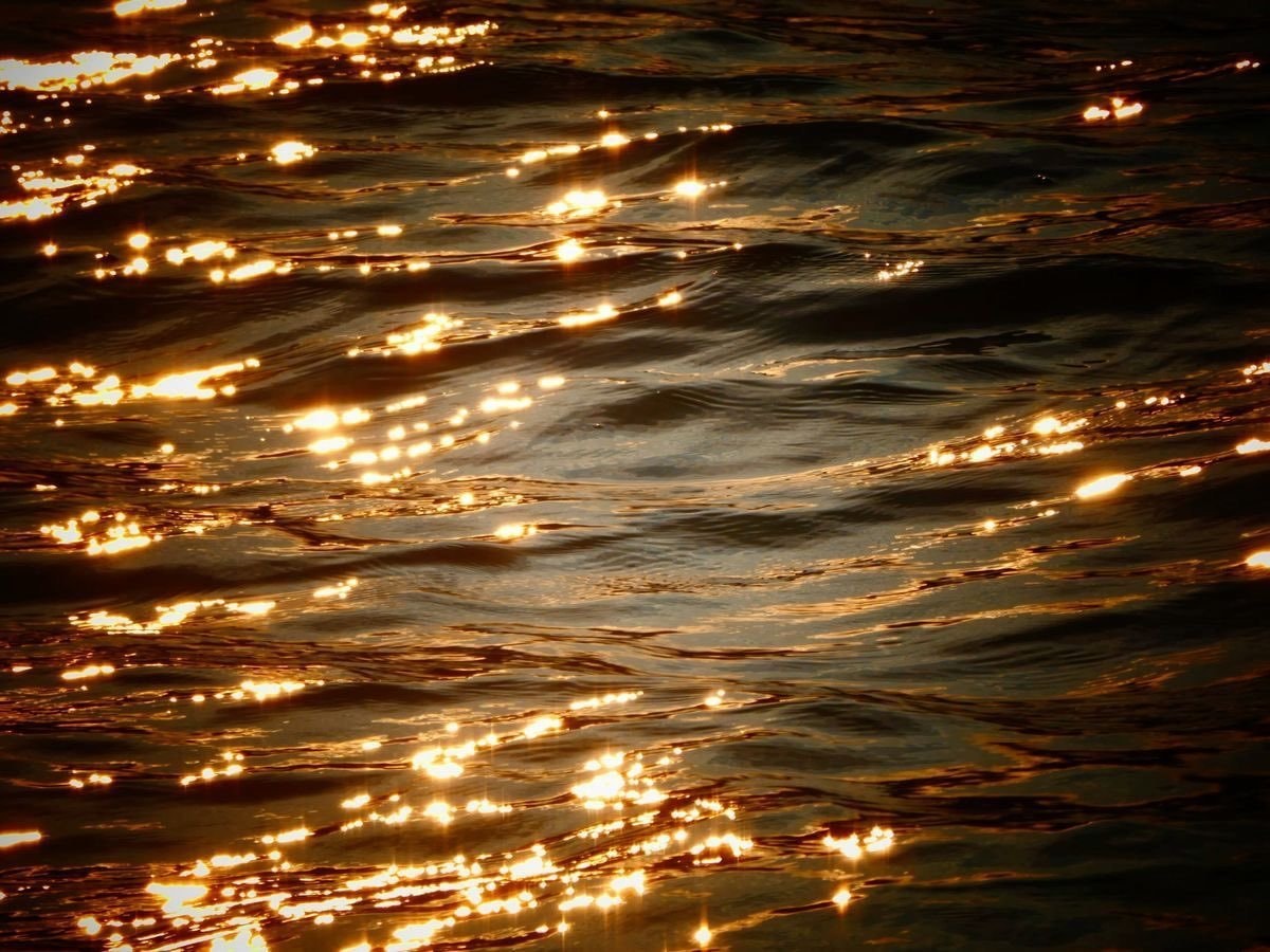 Sunset wave on the shore (photo 2 of 2)