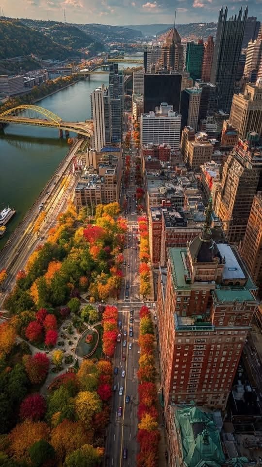 New York City autumn aerial view