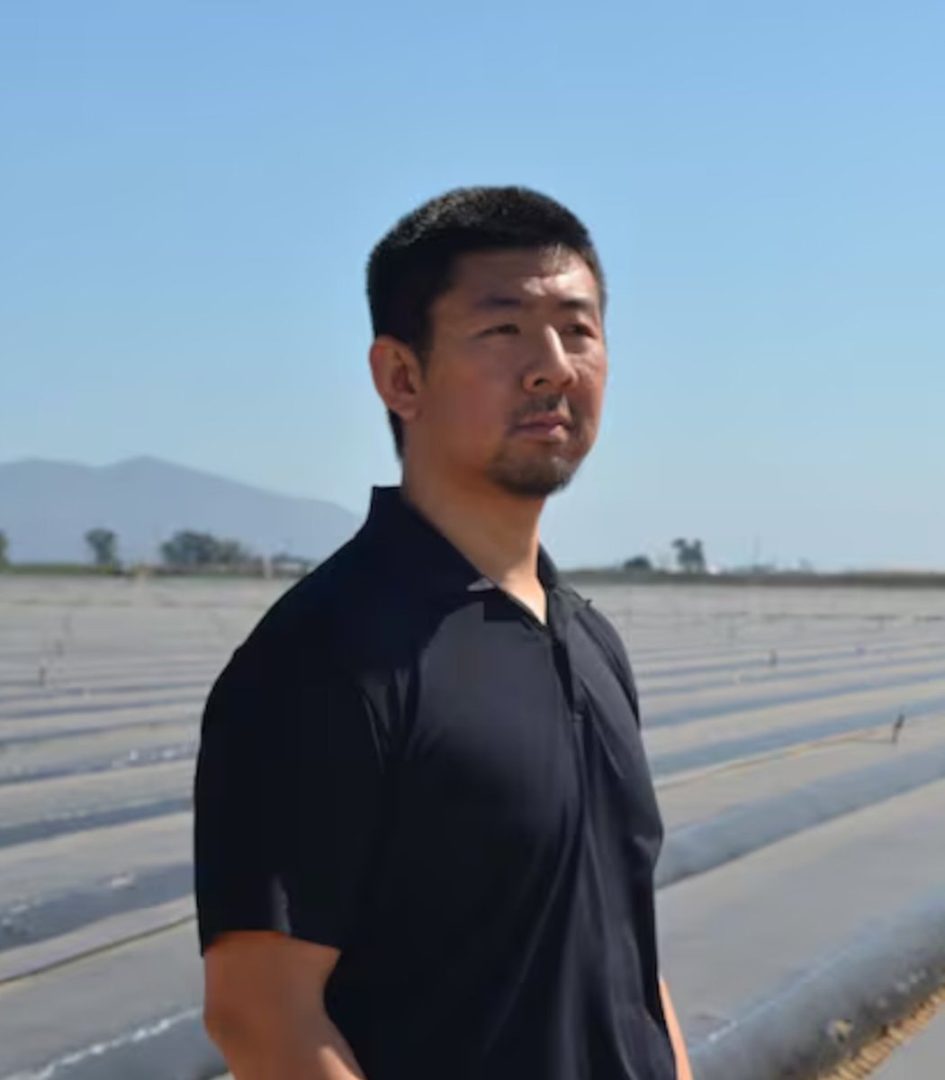 David Harada Driscoll's lawsuit David Harada Driscoll's lawsuit