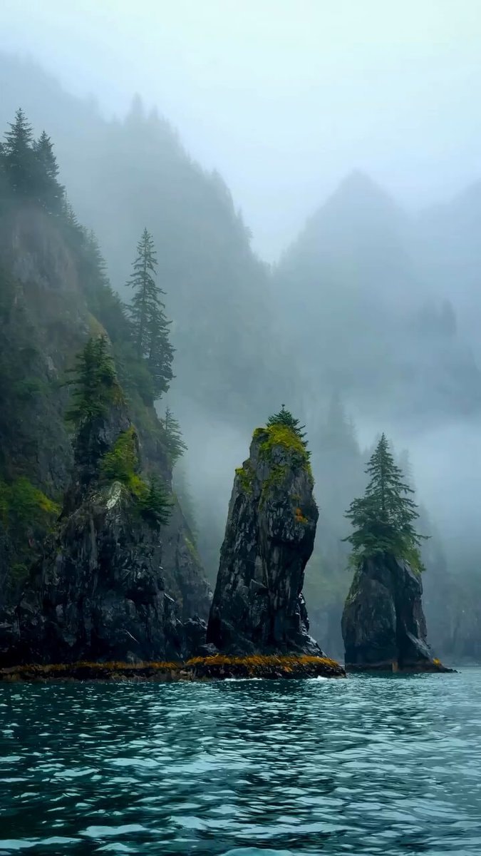 Misty mountains serene coastline video