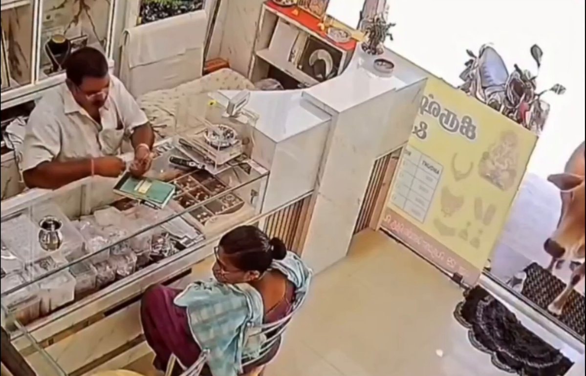 Cow visits jewelry shop for daily roti