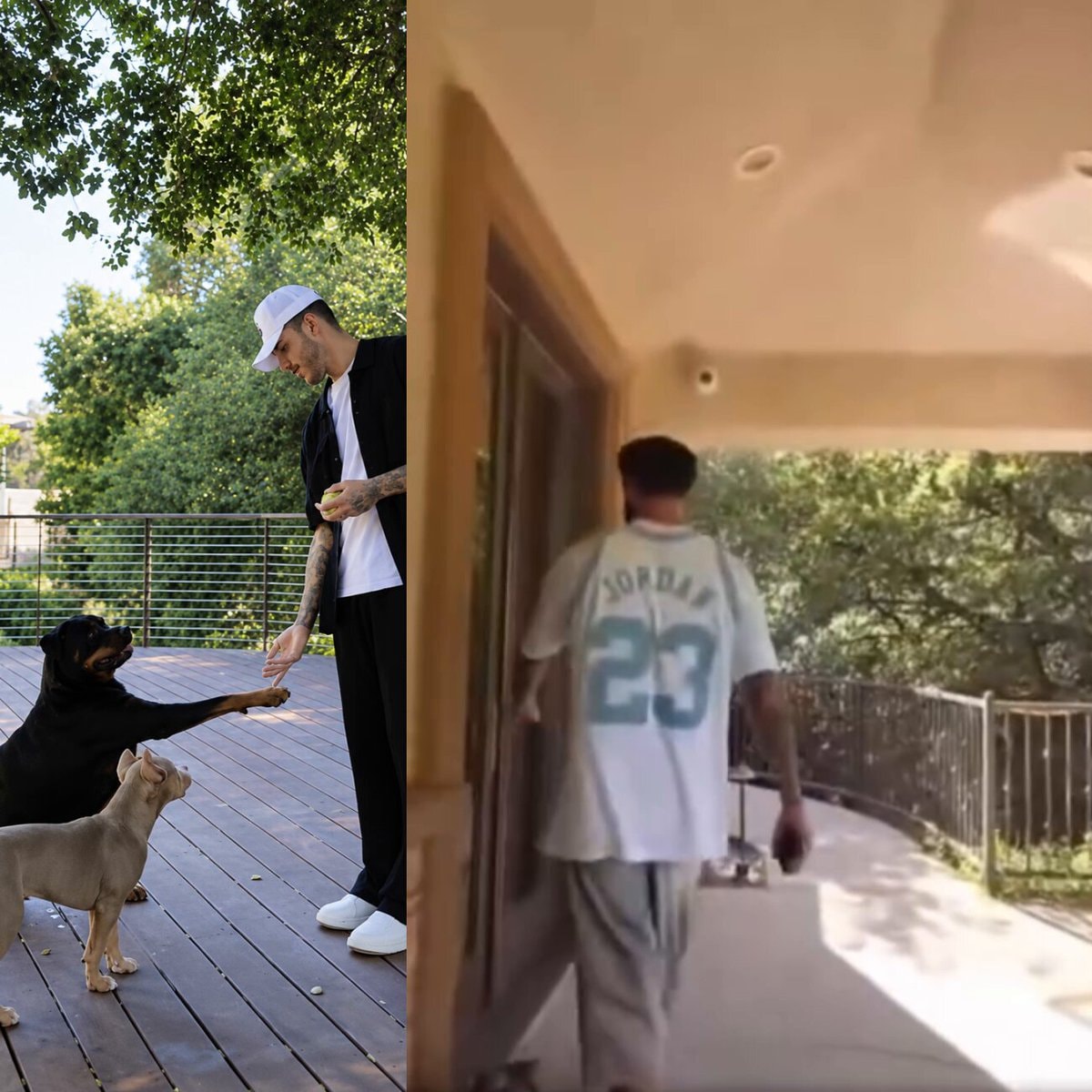 Lonzo Ball dog guest house