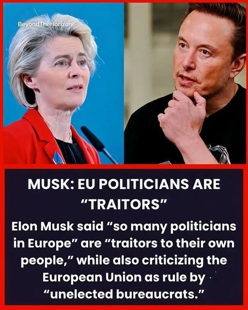 Elon Musk Ursula von der Leyen EU politics