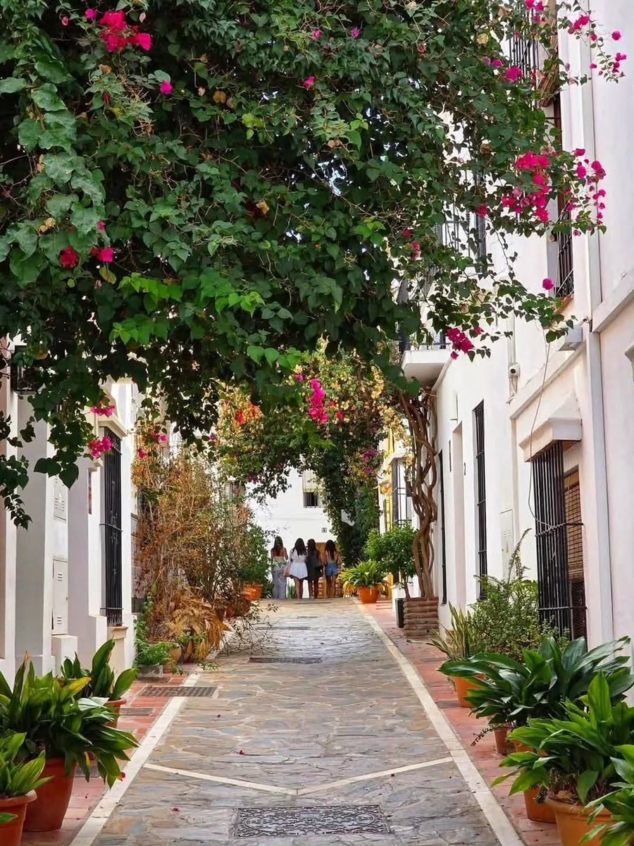 Malaga Spain 🇪🇸 (photo 4 of 4)
