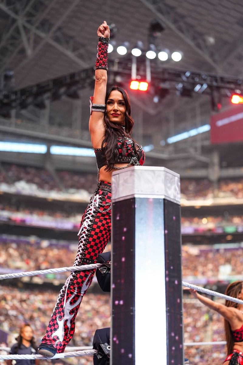 Brie Bella WWE SummerSlam moment