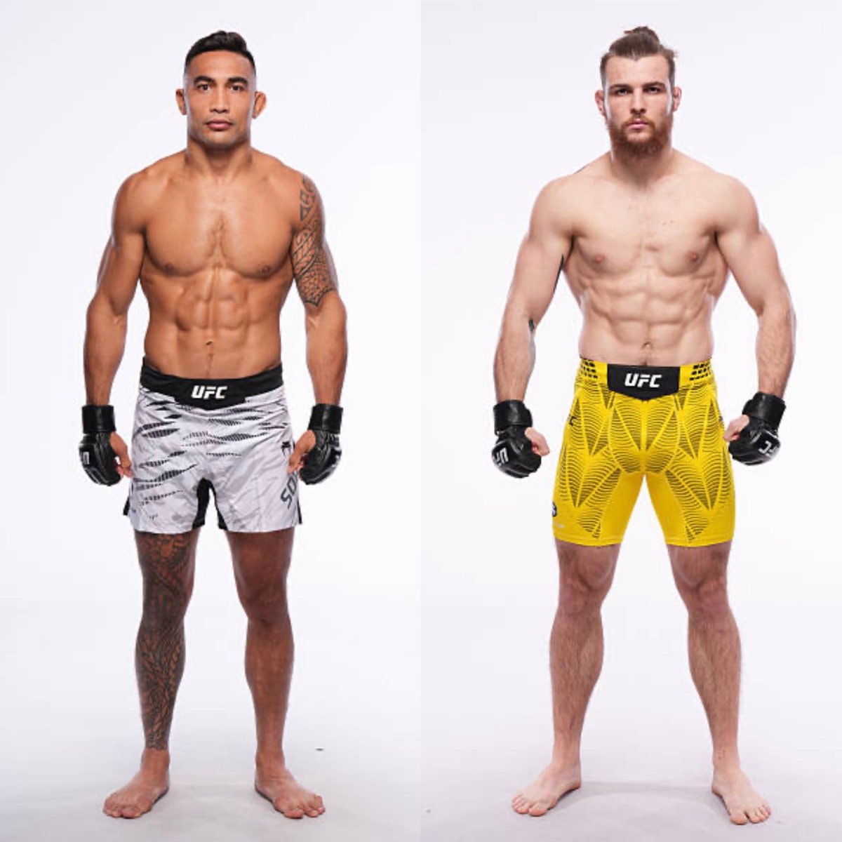 Punahele Soriano vs Daniil Donchenko UFC Paris
