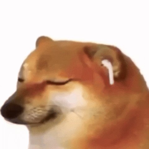 Meme dog reacting to Bhansali songs Meme dog reacting to Bhansali songs