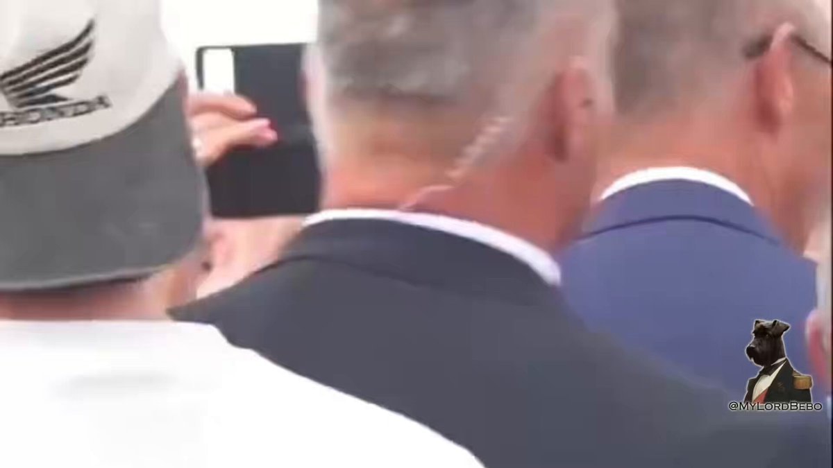 Friedrich Merz campaign reaction