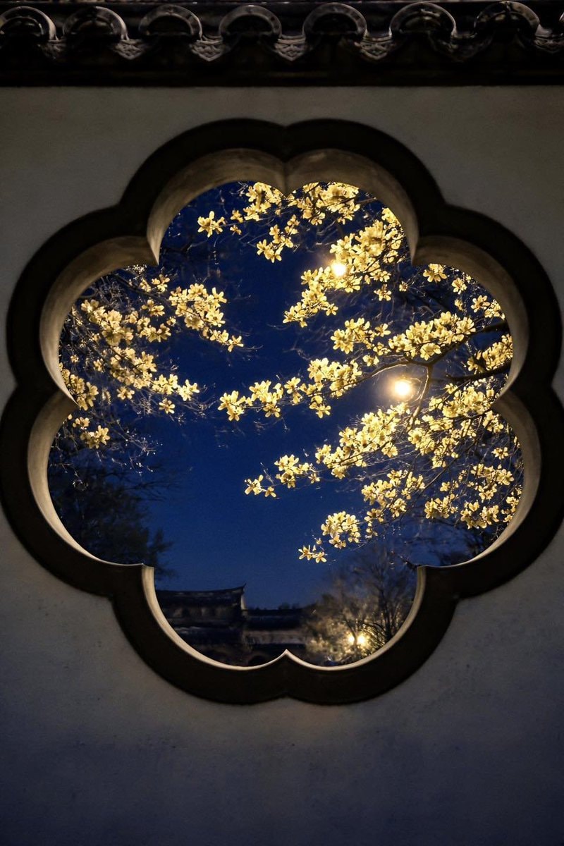 quatrefoil window night blossoms (photo 1 of 2) quatrefoil window night blossoms (photo 1 of 2)
