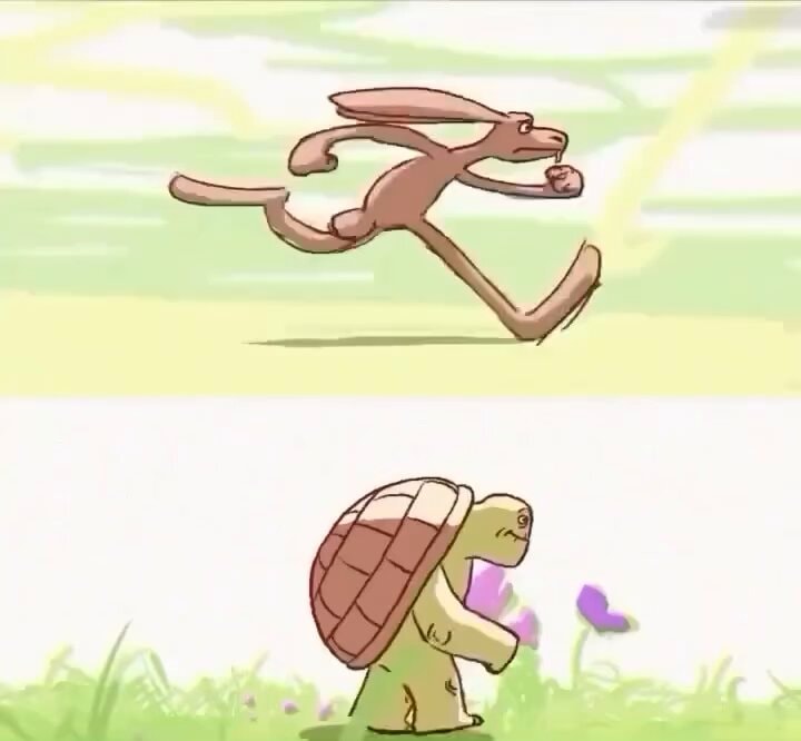 tortoise and the hare fable