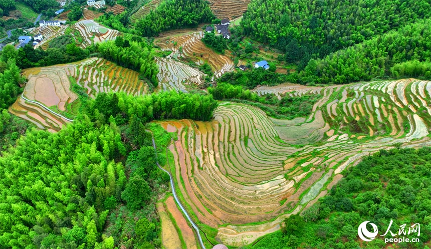 Shangbao Terraced Fields Jiangxi summer (photo 3 of 4)