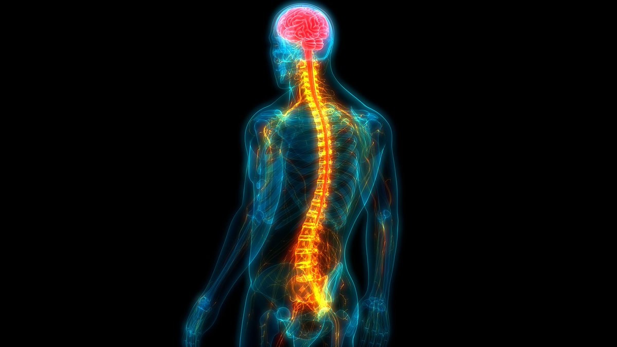 Cambridge Scientists reverse nerve damage