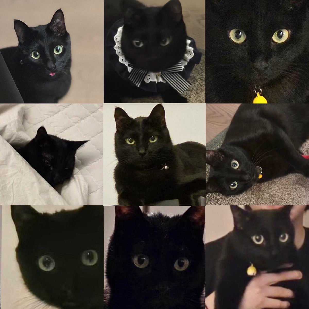 Yoongi's dad daily attachment
