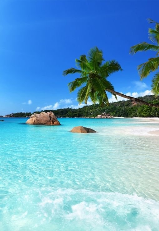 Classic beauty of Seychelles (photo 2 of 2)