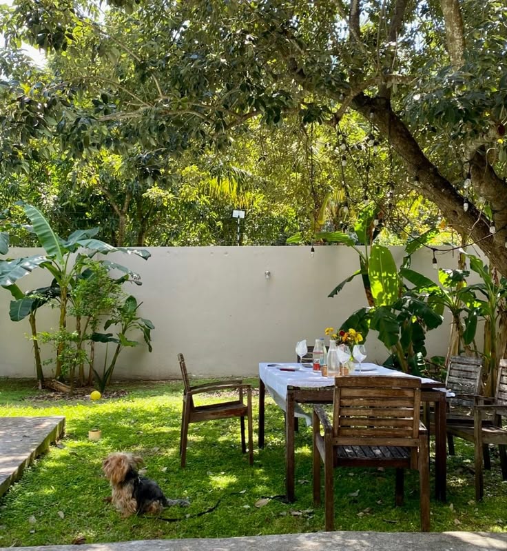 Quaint White House in Lush Garden (photo 4 of 4)