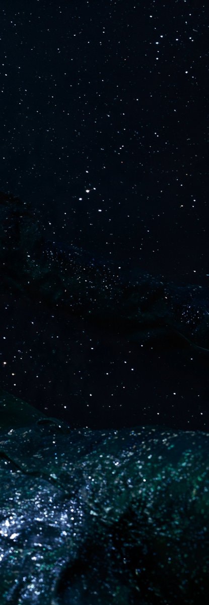 Starry Night: Cosmic Camouflage (photo 3 of 3)