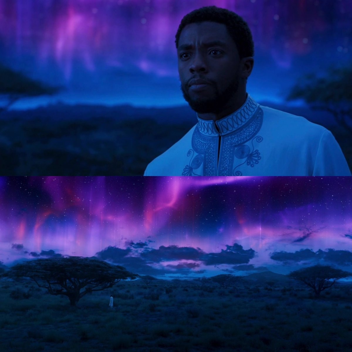 Chadwick Boseman as T'Challa