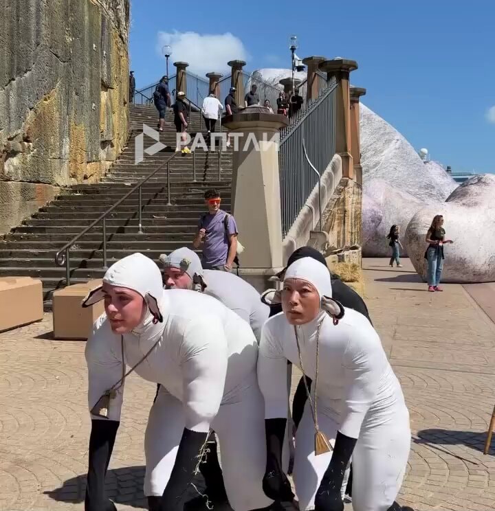 Australia sheep costume performance
