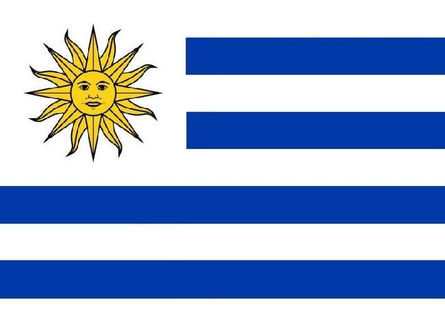 Uruguay World Cup history (photo 2 of 2)