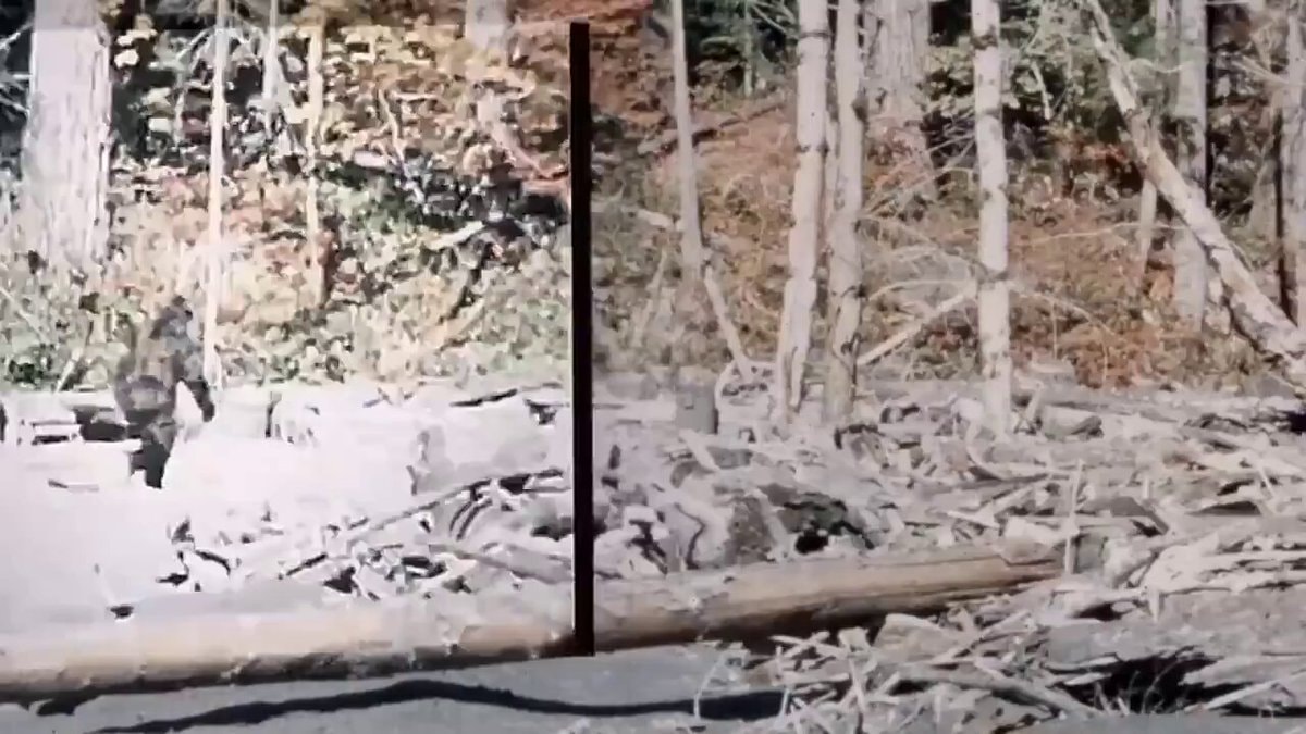 1967 Bigfoot footage proven fake