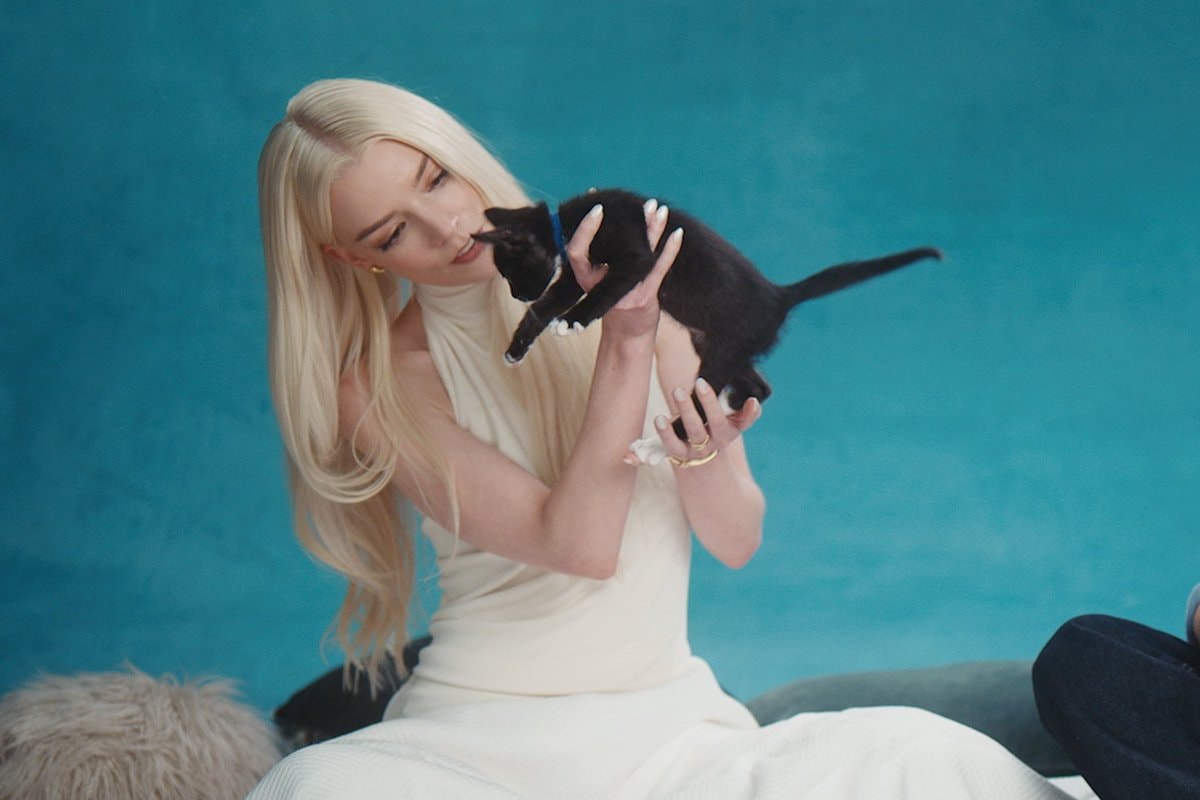 Anya Taylor-Joy Drew Starkey kittens