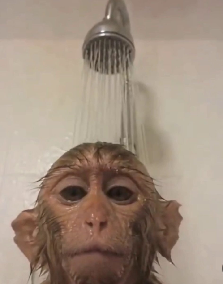 Monkey face reaction Monkey face reaction