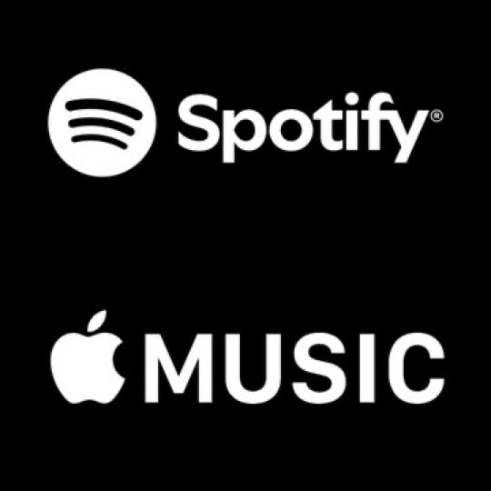 Bad Bunny most streamed Latin artist (photo 2 of 2)