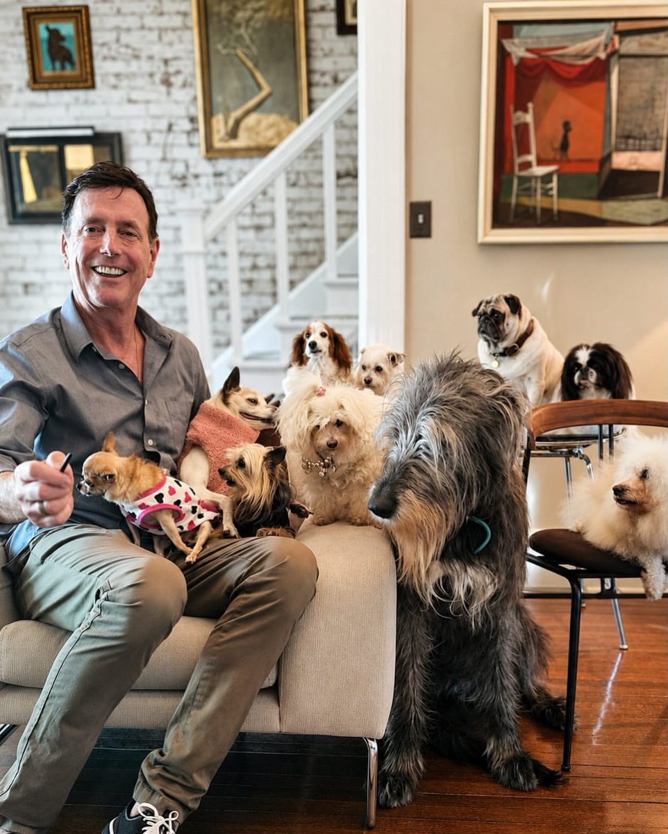 Steve Greig senior dogs (photo 2 of 2)