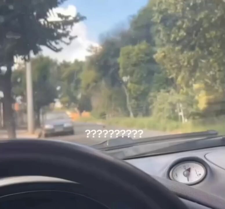 Rooster stops gossiping
