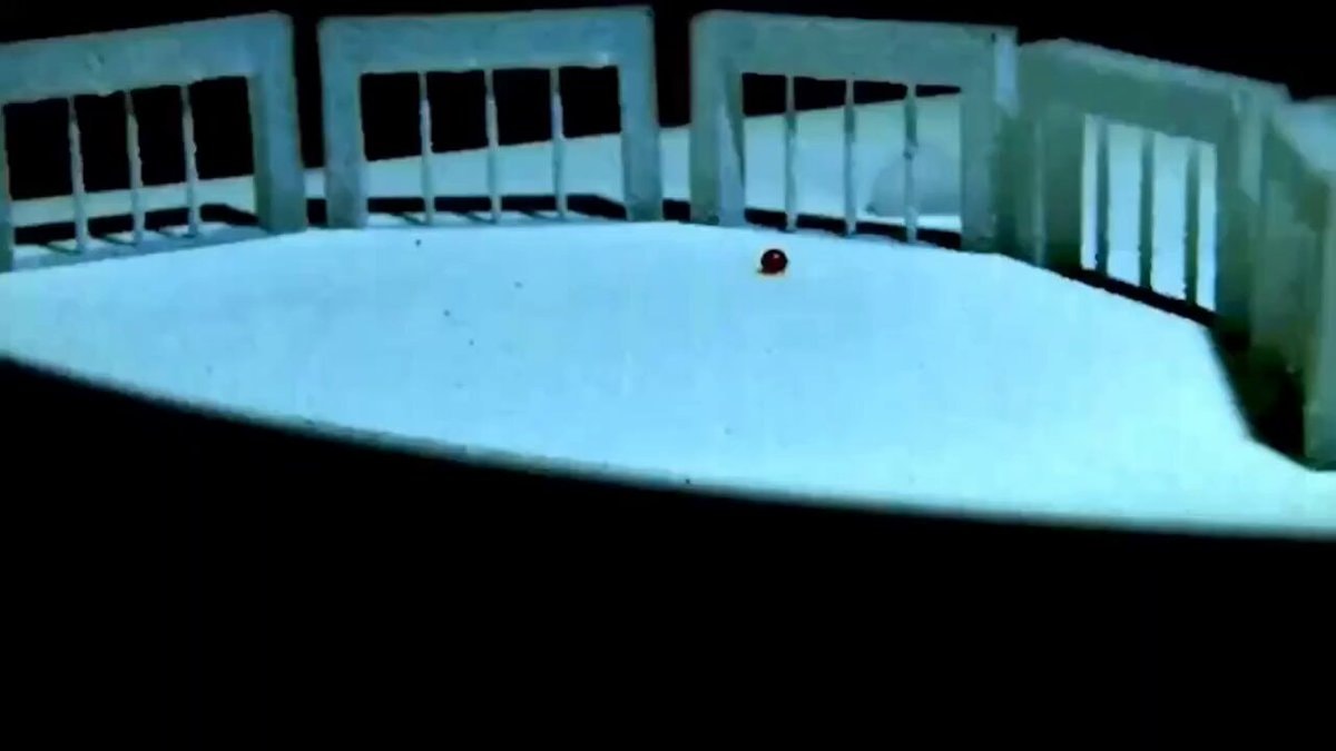 PB Particle Armoured Liquid Robot demo