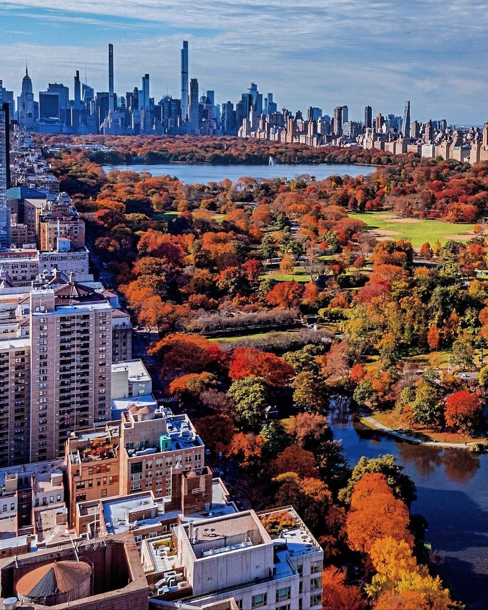 Central Park in autumn, New York (photo 2 of 2)