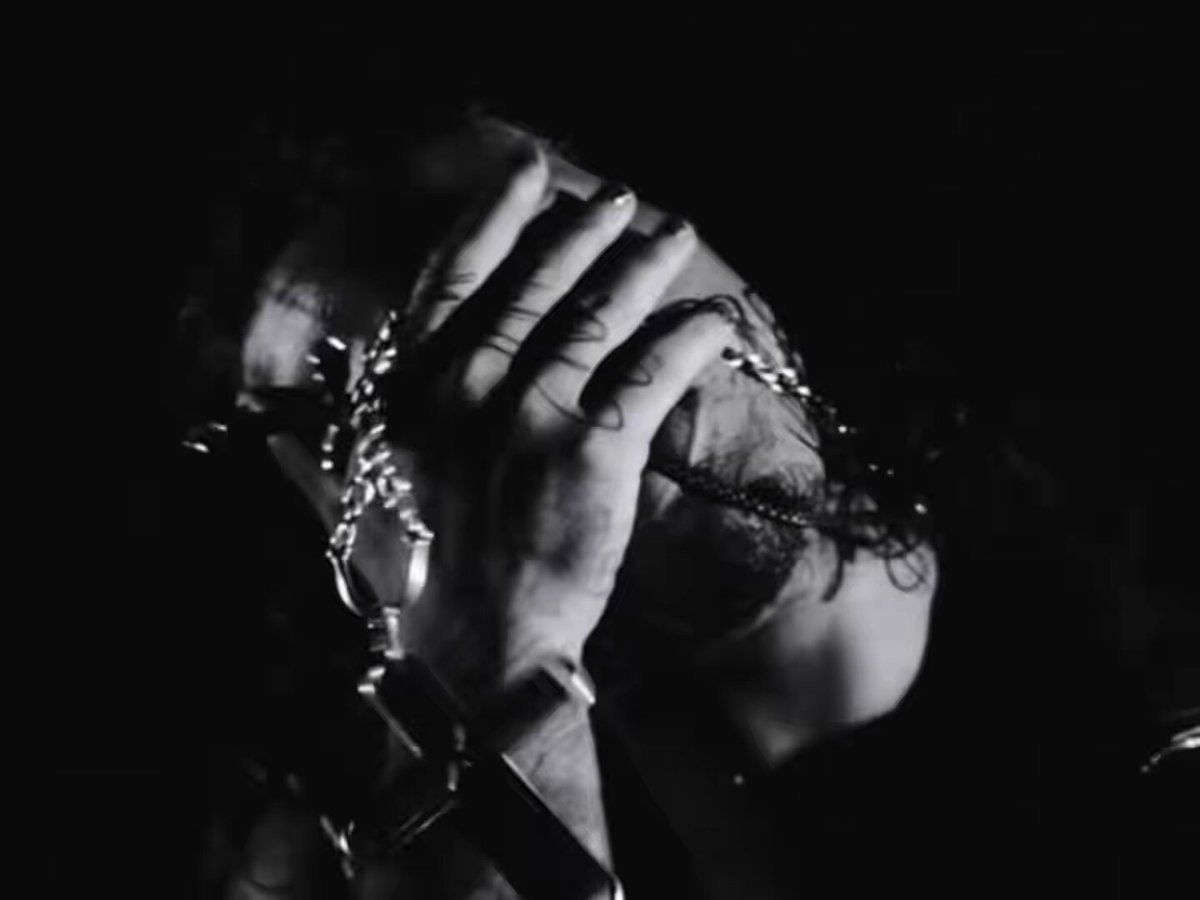 PlaqueBoyMax DIVA Prince tribute video