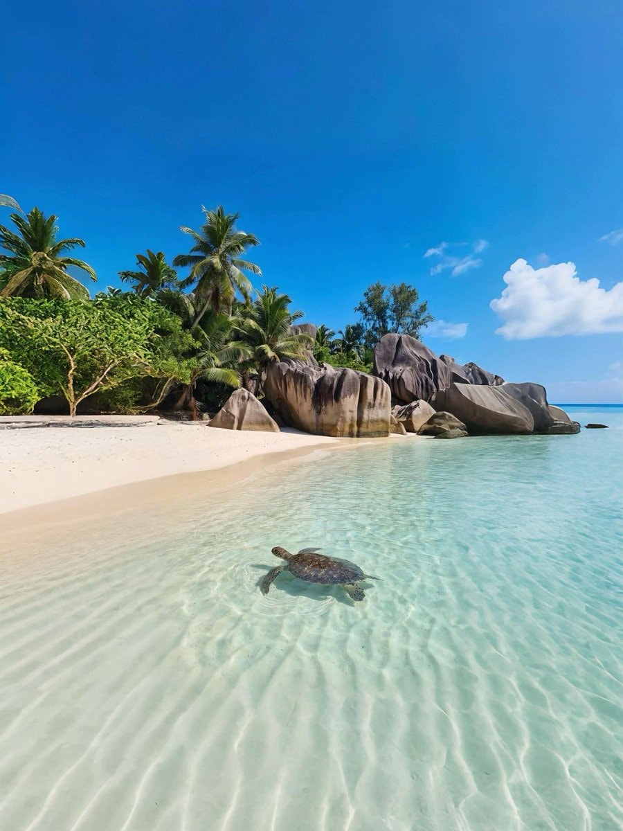 Seychelles summer