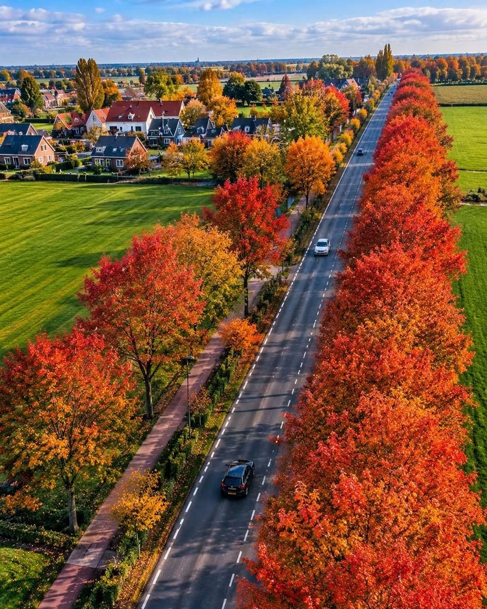 Autumn colors in the Netherlands