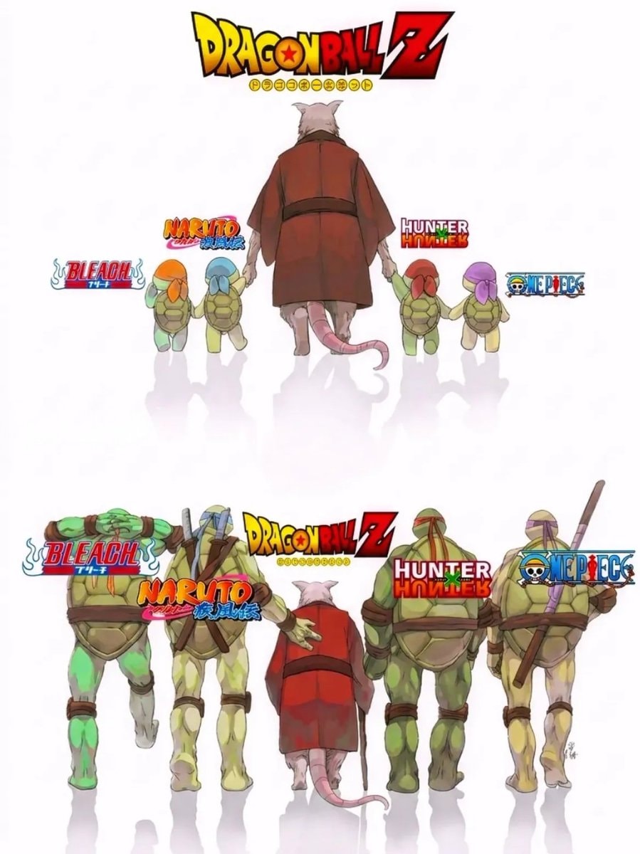 TMNT meets Bleach Naruto Hunter x Hunter One Piece Dragon Ball Z
