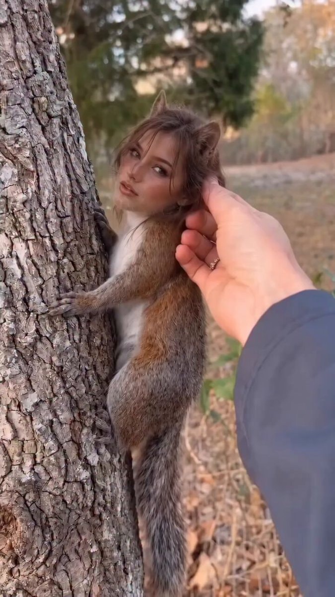 squirrel with human face