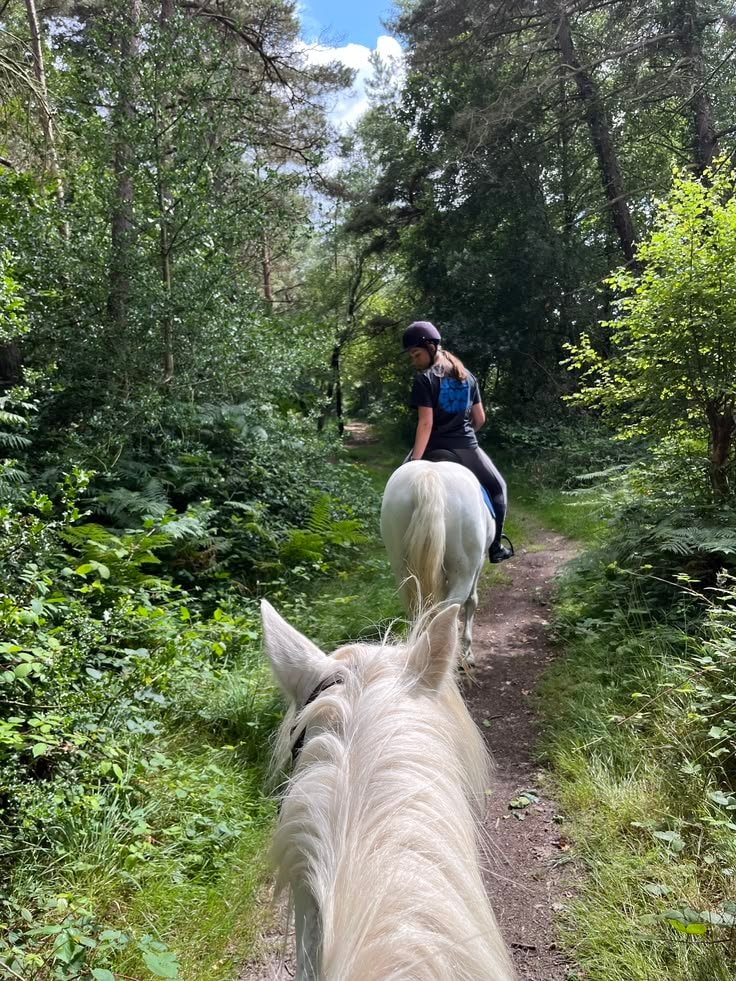 people horseback riding forest (photo 2 of 4)
