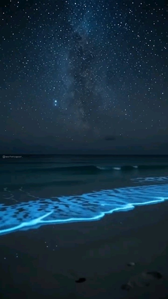 beach bioluminescence and milky way