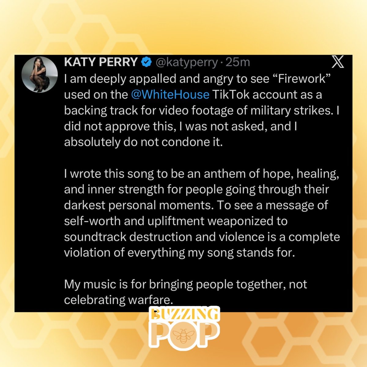 Katy Perry calls out The White House (photo 2 of 2)