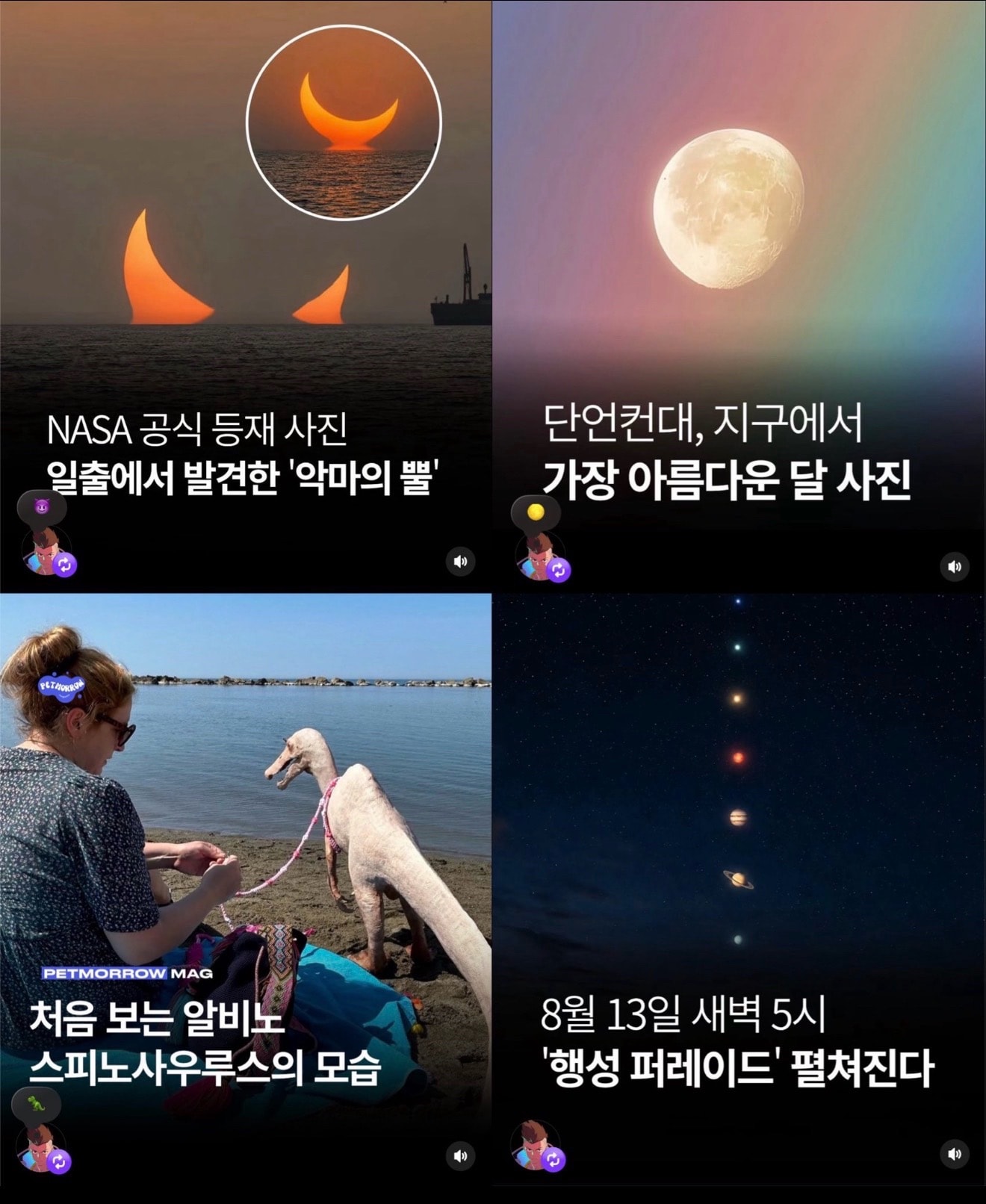 Jungkook reposts