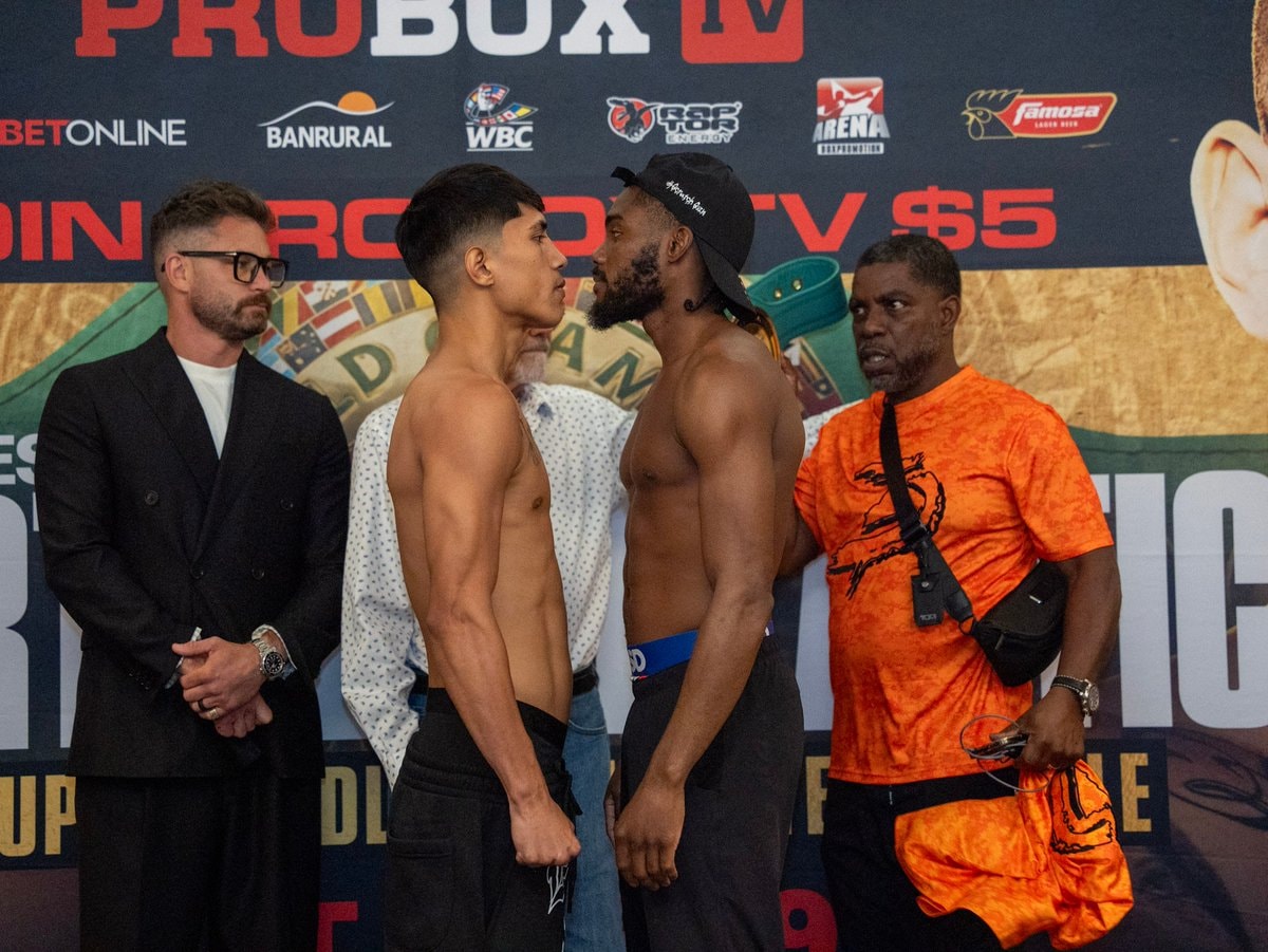 Torres vs White fight