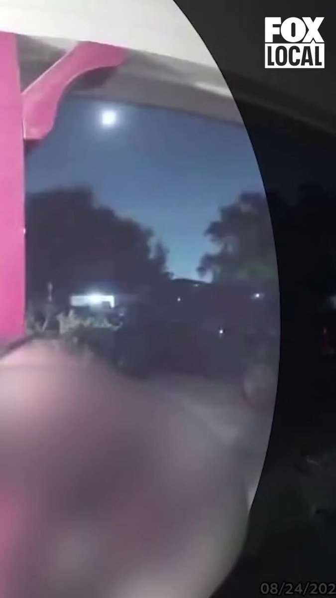 Naked DoorDash driver incident